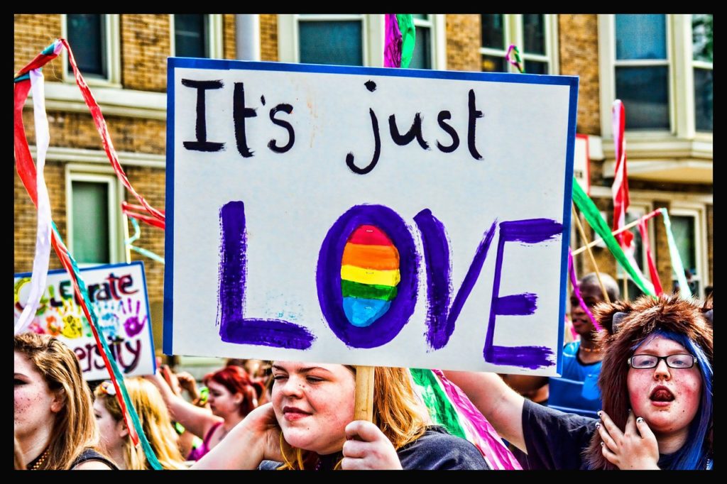 parade-marcher-with-its-only-love-sign-gay-pride-314659_1280