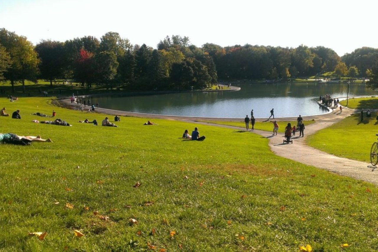 beaver-lake-mount-royal-montreal-272629_1280