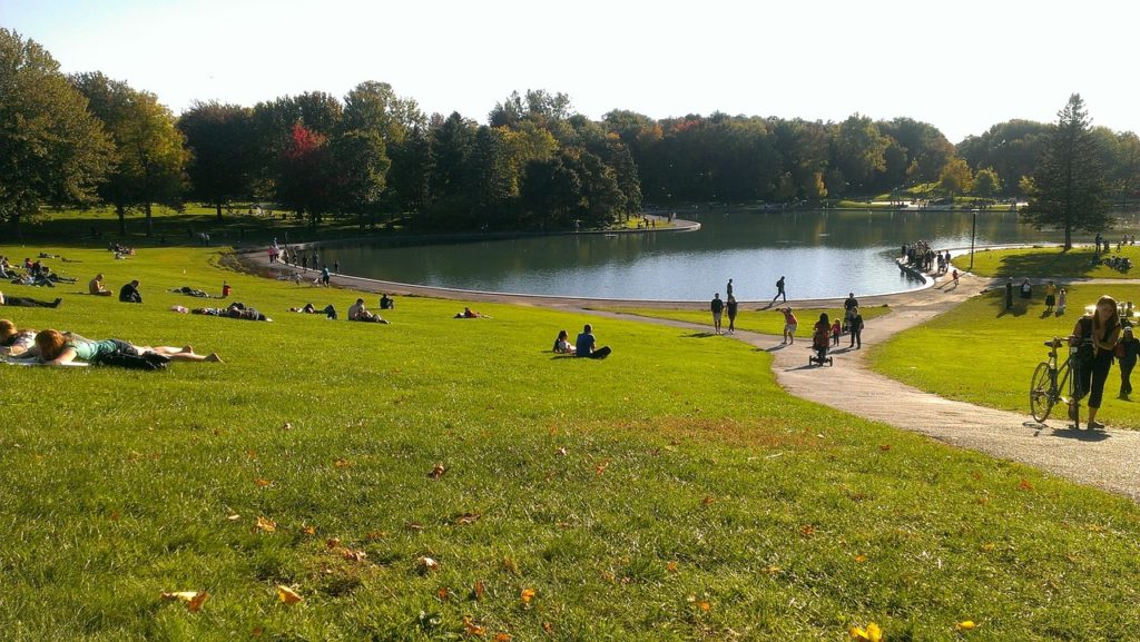 beaver-lake-mount-royal-montreal-272629_1280